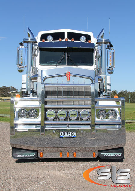 W900SAR Drop Visor, 11" Stainless Steel